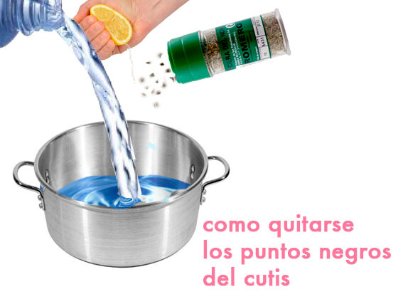 Como quitarse los puntos negros del cutis